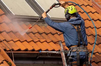Démoussage et hydrofuge de toiture à Sarcey